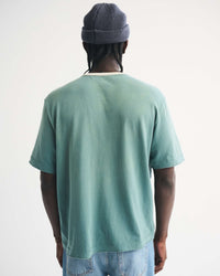 0116-ABE1235339WFLL13-5